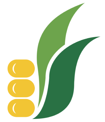 ico ico
